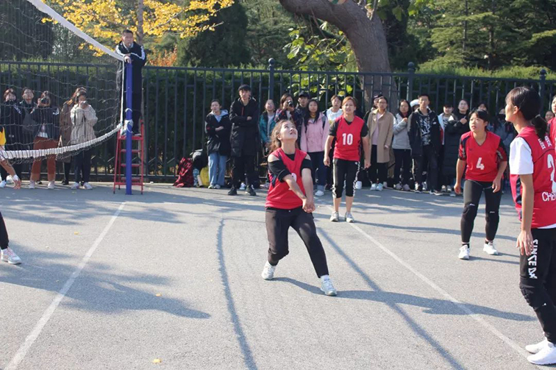 p5.jpg